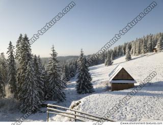 background forest winter 0011